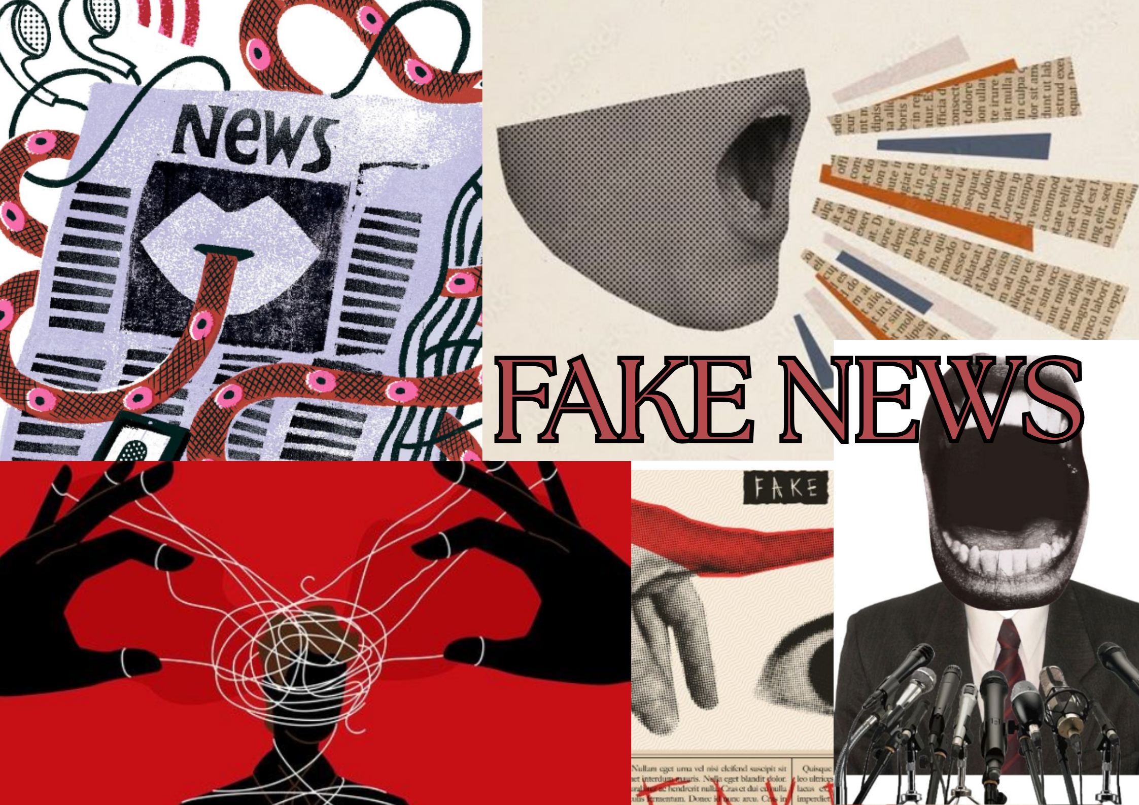 Collage Fake News